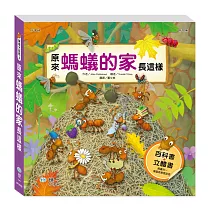 原來螞蟻的家長這樣