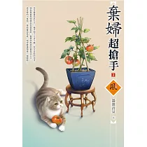 棄婦超搶手(3)