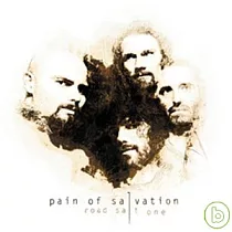 Pain Of Salvation / Road Salt One
