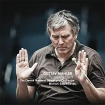 Michael Schonwandt/Mahler symphony No.9 (2CD)