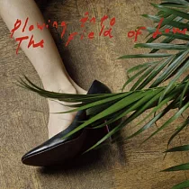 Iceage / Plowing Into The Field Of Love