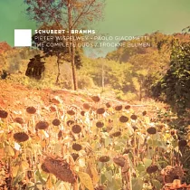 Schubert and Brahms complete Duo Vol.2 / Pieter Wispelwey
