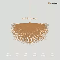Matt Anderson & The Wildflower Sextet / Wildflower