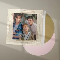 韓劇 青春紀錄RECORD OF YOUTH O.S.T ─ TVN DRAMA (2CD) 朴寶劍 朴素談 (韓國進口版) 黑膠