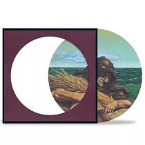 死之華合唱團 / Wake Of The Flood (50Th Anniversary Remaster) [Picture Disc] (LP)