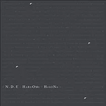 細野晴臣 / N.D.E. (2LP)