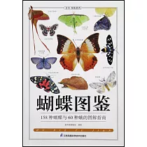 蝴蝶圖鑒