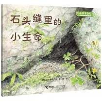 石頭縫裡的小生命