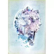 RADWIMPS / RADWIMPS LIVE&DOCUMENT 2014 X與O與你 3DVD