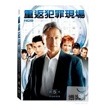 重返犯罪現場 第五季 5DVD