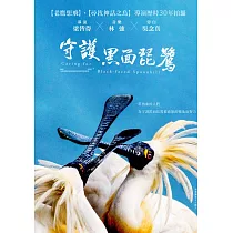 守護黑面琵鷺 DVD