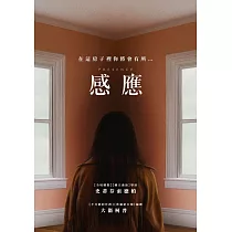 感應 DVD