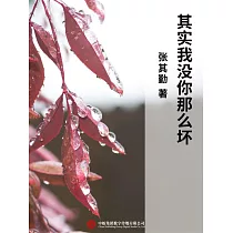 其實我沒你那麼壞 (電子書)