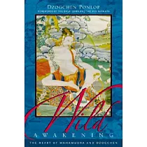 Wild Awakening： The Heart of Mahamudra & Dzogchen