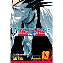 Bleach 13