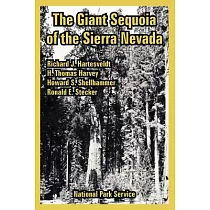The Giant Sequoia of the Sierra Nevada
