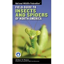 National Wildlife Federation Field Guide to Insects and Spiders & Related Species of North America