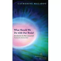 What Should We Do with Our Brain?