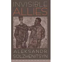 Invisible Allies