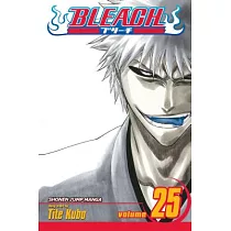 Bleach 25