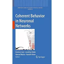 Coherent Behavior in Neuronal Networks