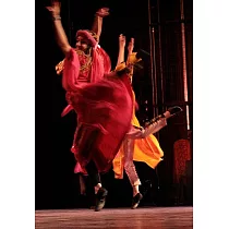 Raising Dust： A Cultural History of Dance in Palestine