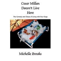 Cesar Millan Doesn’t Live Here： The Comedy and Chaos of Living With Four Dogs
