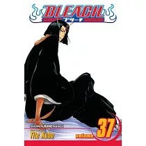 Bleach 37