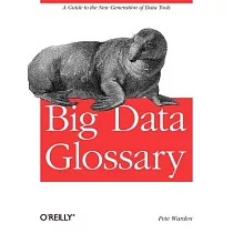 Big Data Glossary