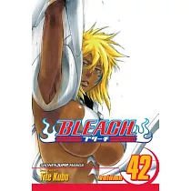 Bleach 42