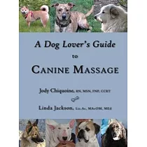 A Dog Lover’s Guide to Canine Massage