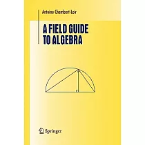 A Field Guide to Algebra