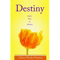 Destiny： God’s Plan in Motion
