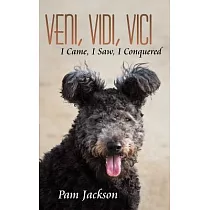 Veni， Vidi， Vici： I Came， I Saw， I Conquered