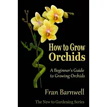 How to Grow Orchids: A Beginner’s Guide to Growing Orchids