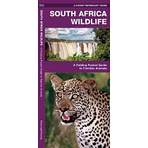 South Africa Wildlife： A Folding Pocket Guide to Familiar Animals