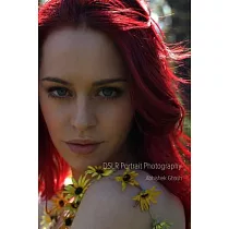 Dslr Portrait Photography： Secrets of Photography That Work!