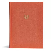 She Reads Truth Bible： Christian Standard Bible， Poppy Linen