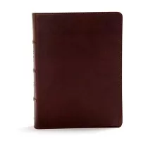 Holy Bible： Christian Standard Bible， Brown Genuine Leather， Indexed， Study