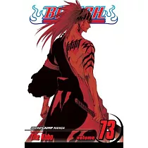 Bleach 73