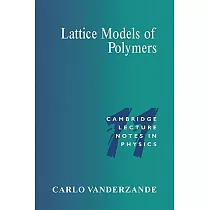 Lattice Models of Polymers