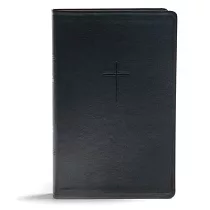 Everyday Study Bible： Christian Standard Bible， Black Leathertouch