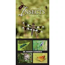 A Field Guide to Insects of the Pacific Northwest