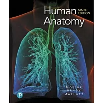 Human Anatomy