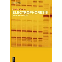 Electrophoresis： Theory and Practice