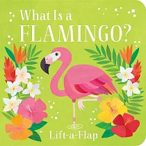 What Is a Flamingo?