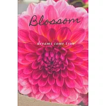 Blossom Dreams Come True