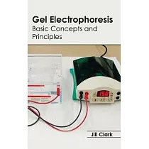Gel Electrophoresis： Basic Concepts and Principles