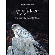Gyrfalcon： The One Who Stays All Winter