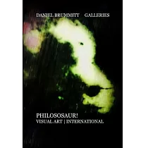 Daniel Brummitt Galleries